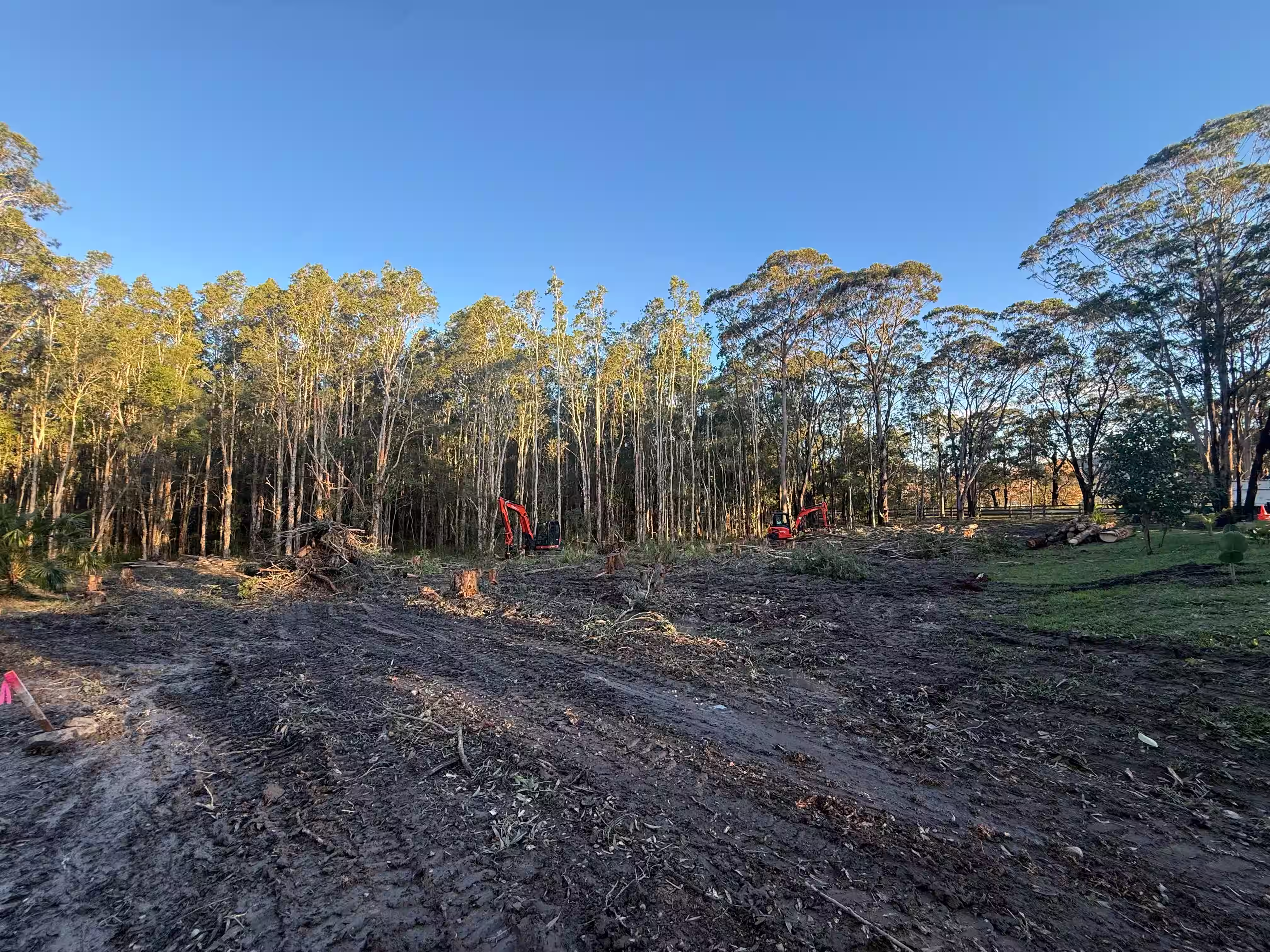 Land Clearing for Shed Development — Charlotte Bay, Mid North Coast