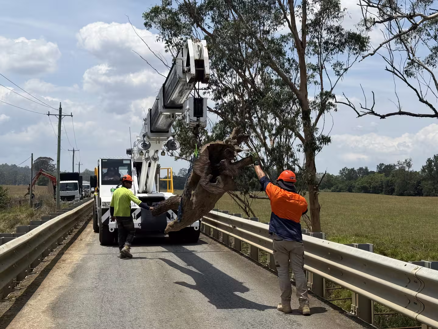 Two workers using machinery to remove a large tree branch from a road beside a field.