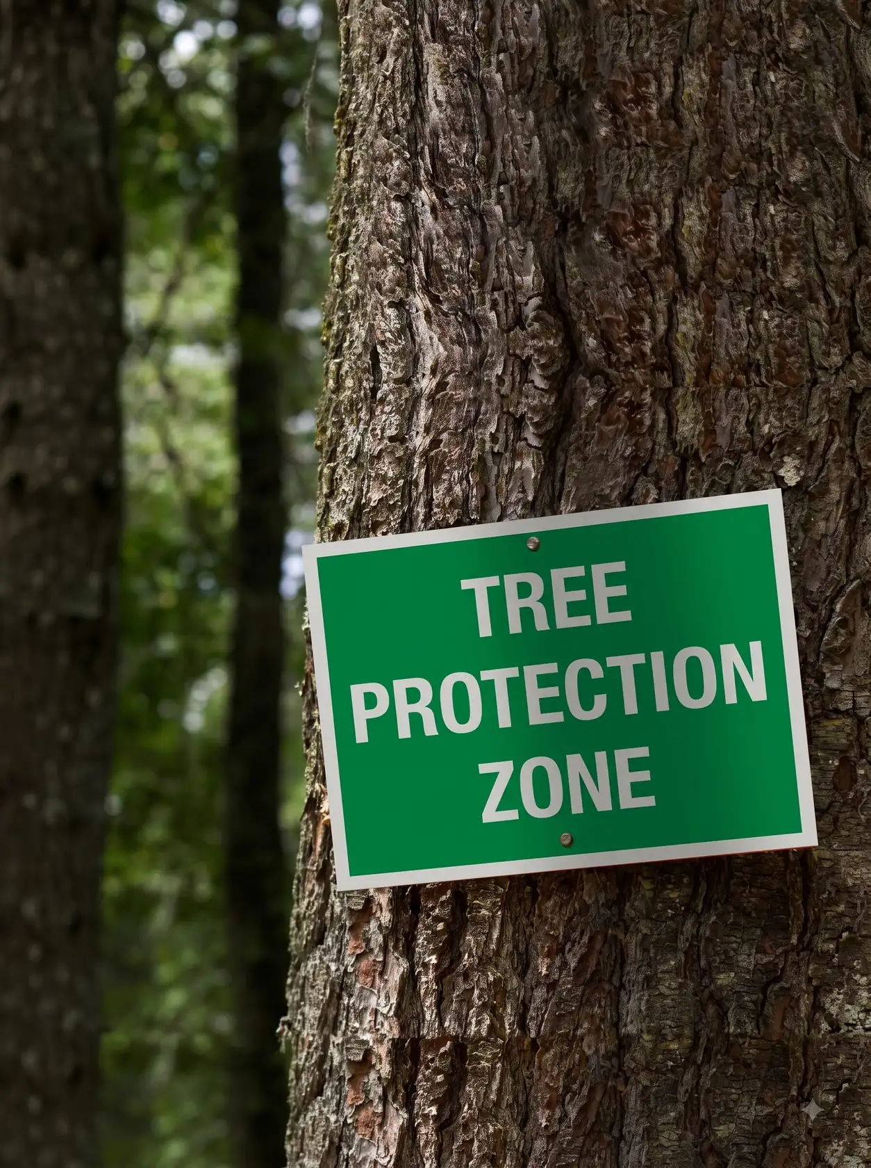 Green "Tree Protection Zone" sign attached to a tree trunk in a forest.