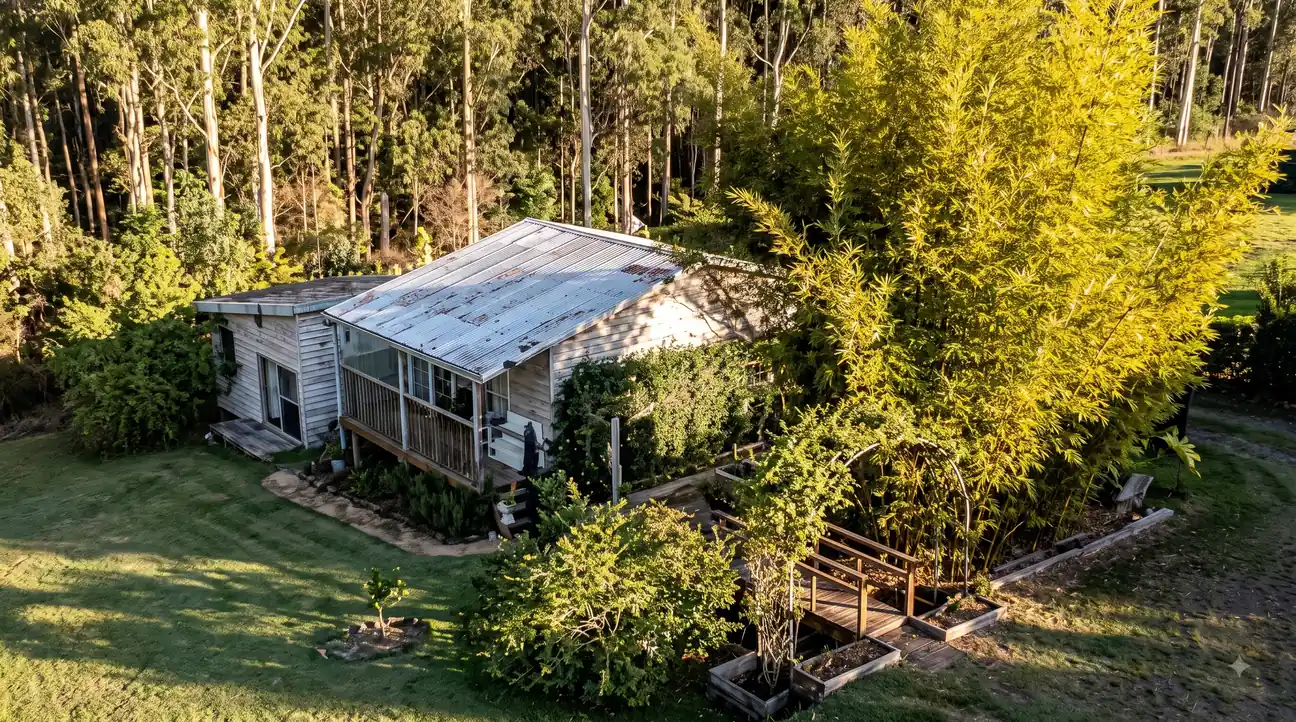 Aerial view of a rustic timber cottage with a rusted tin roof surrounded by dense eucalyptus forest and bamboo.