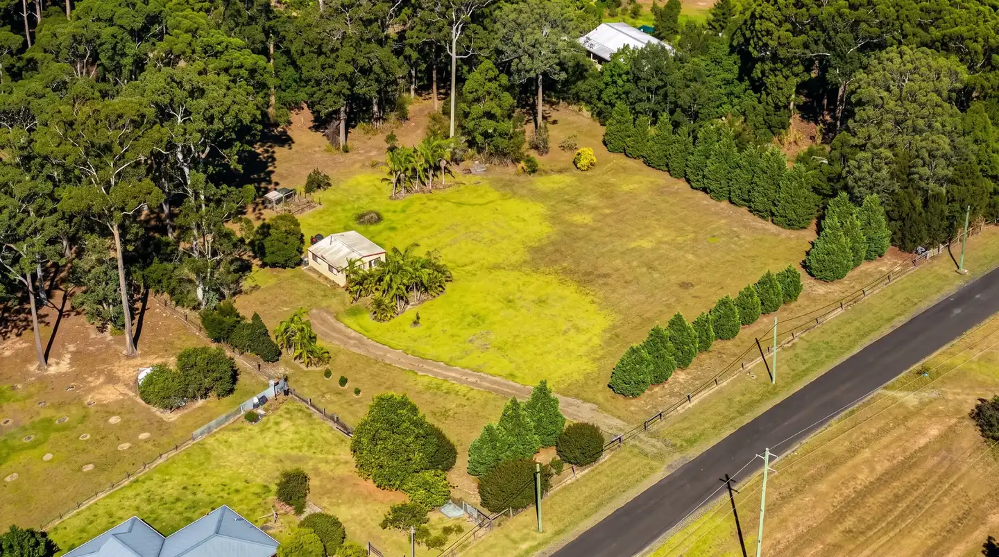 Aerial view of a rural property with a small house, palm trees, and a long dirt driveway bordered by pine trees.