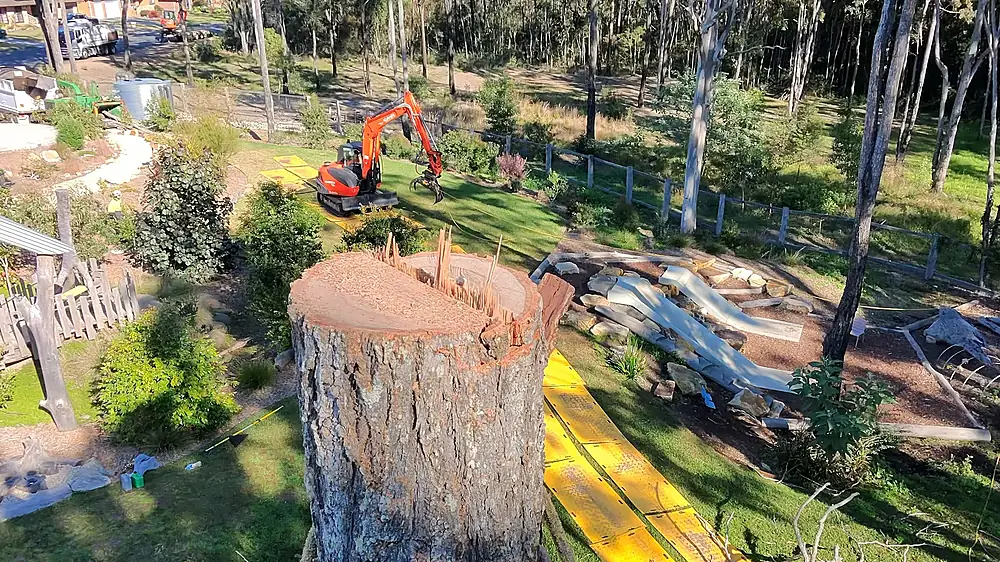 Arborist's view from a tree looking down at a freshly cut stump, with an excavator and playground below.