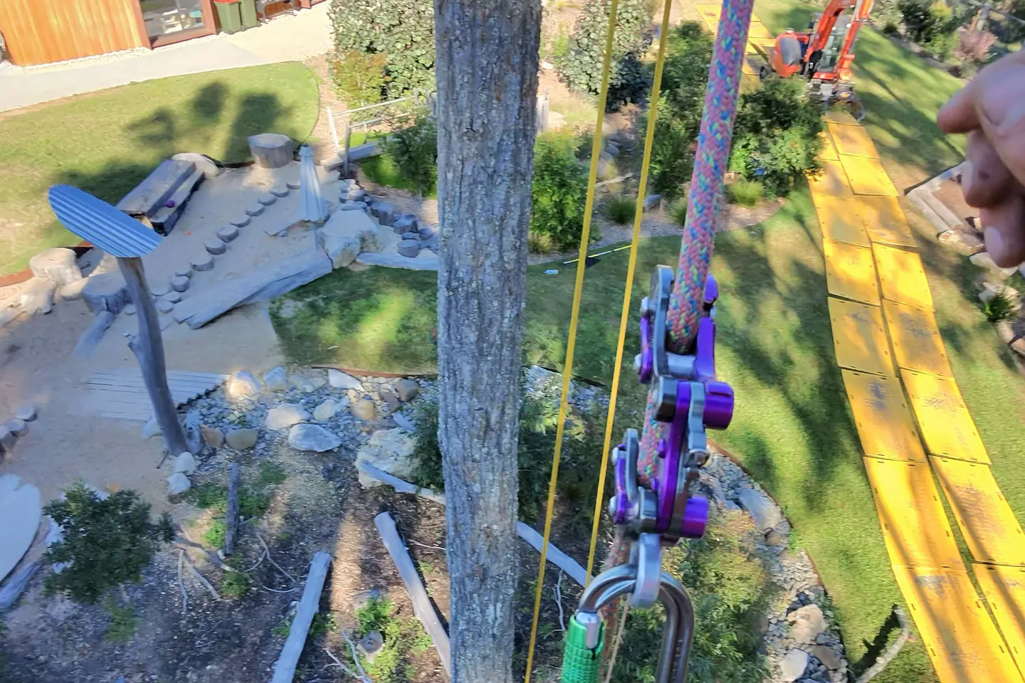 Climbing arborist's view from a dead Ironbark overlooking the First Steps play area during tree removal in Taree.