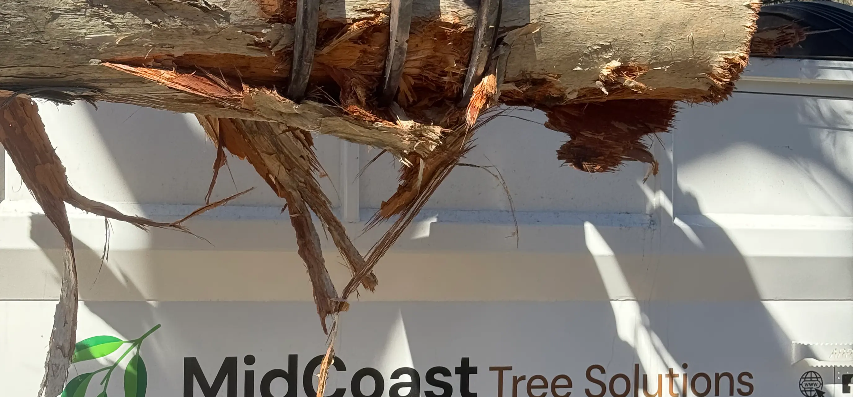 Excavator grapple loading timber onto a MidCoast Tree Solutions truck, a fully insured Mid North Coast arborist