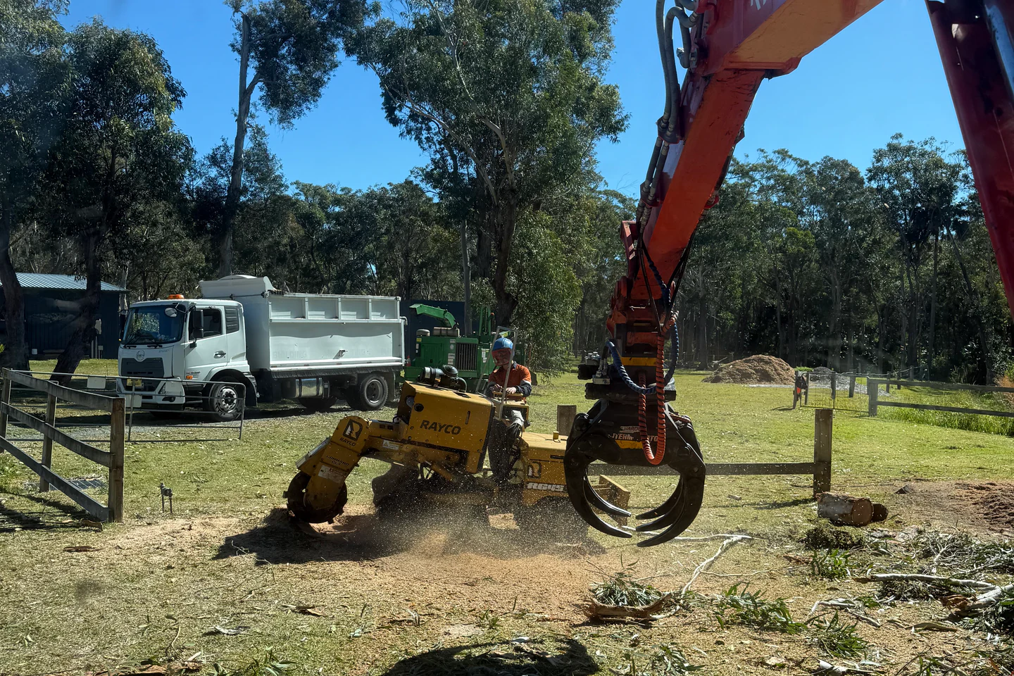 Excavator fitted with a stump-grinding attachment, an example of the specialised equipment a professional arborist uses.