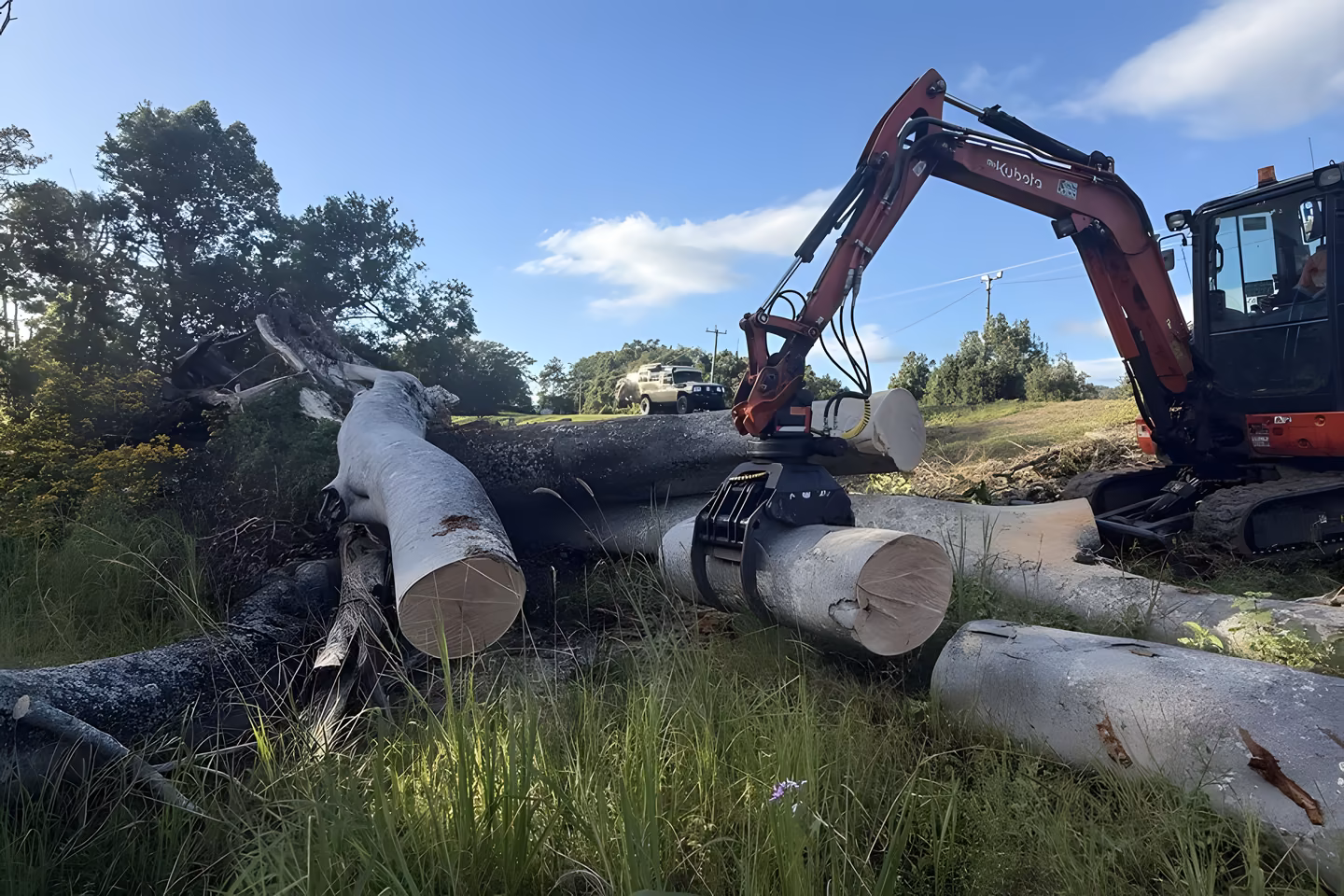 Excavator grapple picking up cut log sections from a felled tree in long grass.