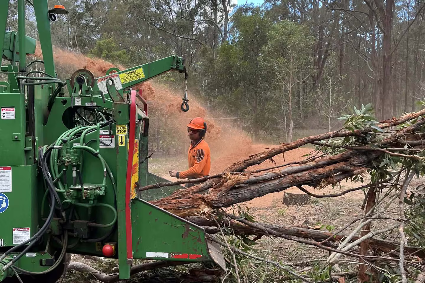 MidCoast Tree Solutions crew feeding cleared branches into a wood chipper during 10/50 vegetation clearing work.