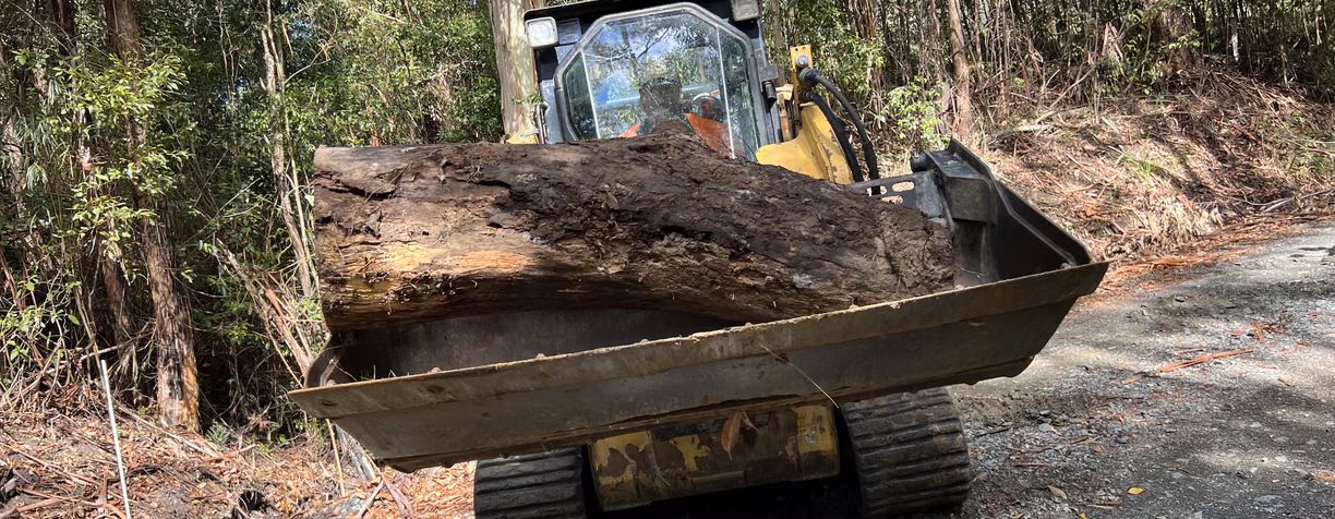 CAT tracked loader carrying a large log along a bush track