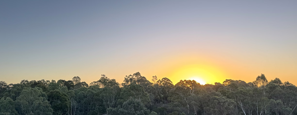 Sunset over native bushland on the Mid North Coast