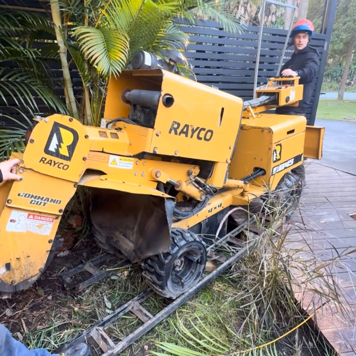 Arborist grinding out an old stump in an established garden with palms
