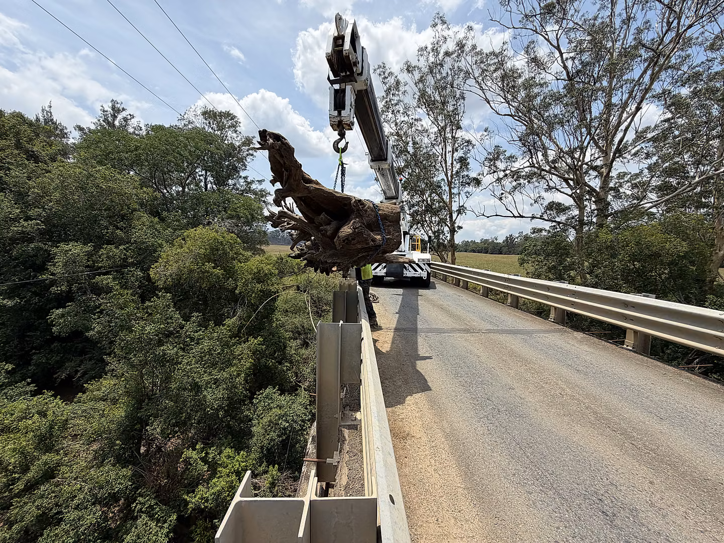 Crane lifting a tree out of the ground with its root ball intact