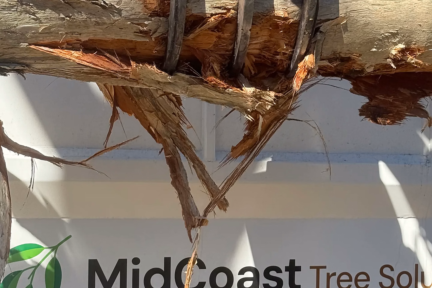 Excavator grapple loading timber onto a MidCoast Tree Solutions truck, a fully insured Mid North Coast arborist
