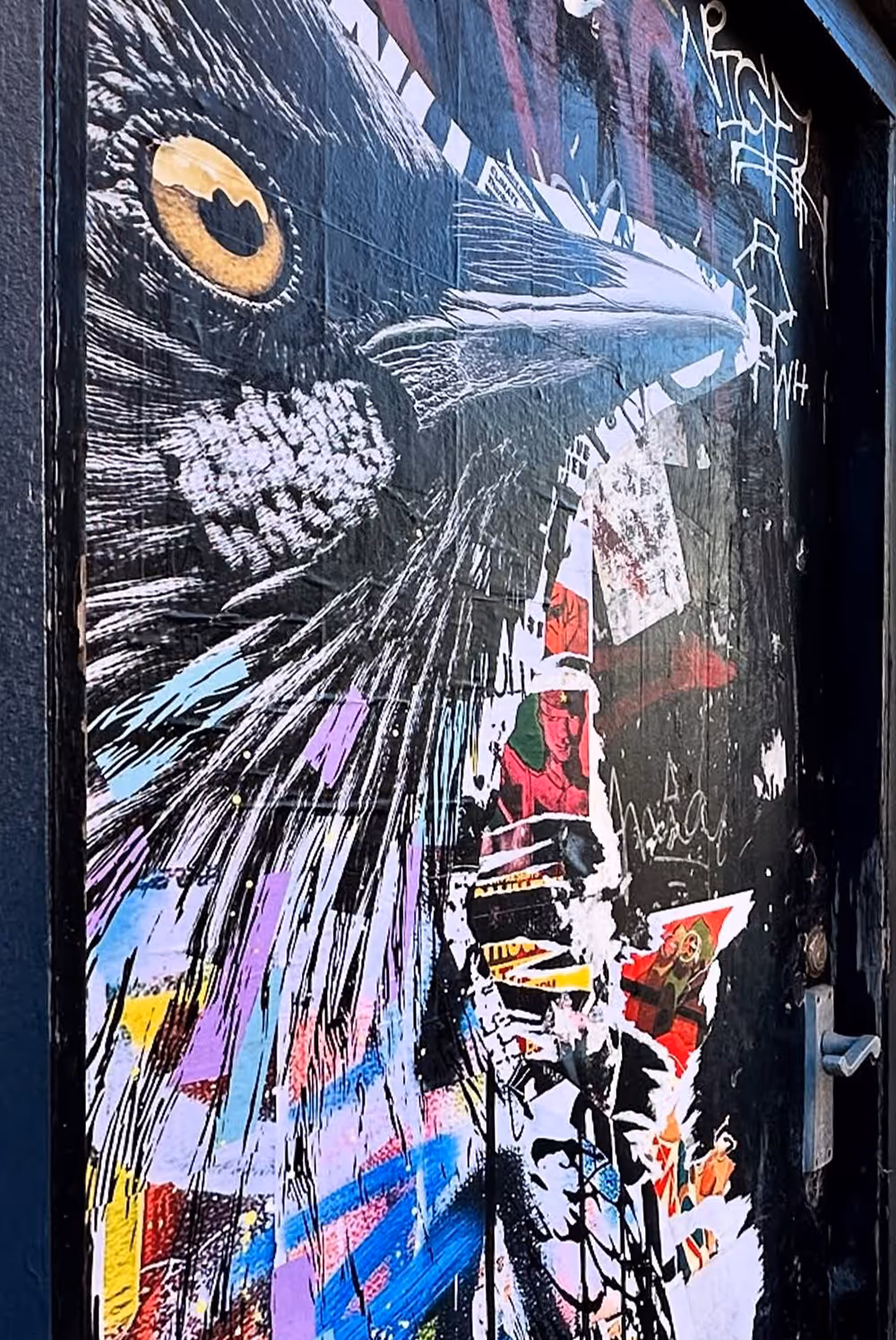 Colorful street art of a large cat's face with a yellow eye on a black door with a metal handle.