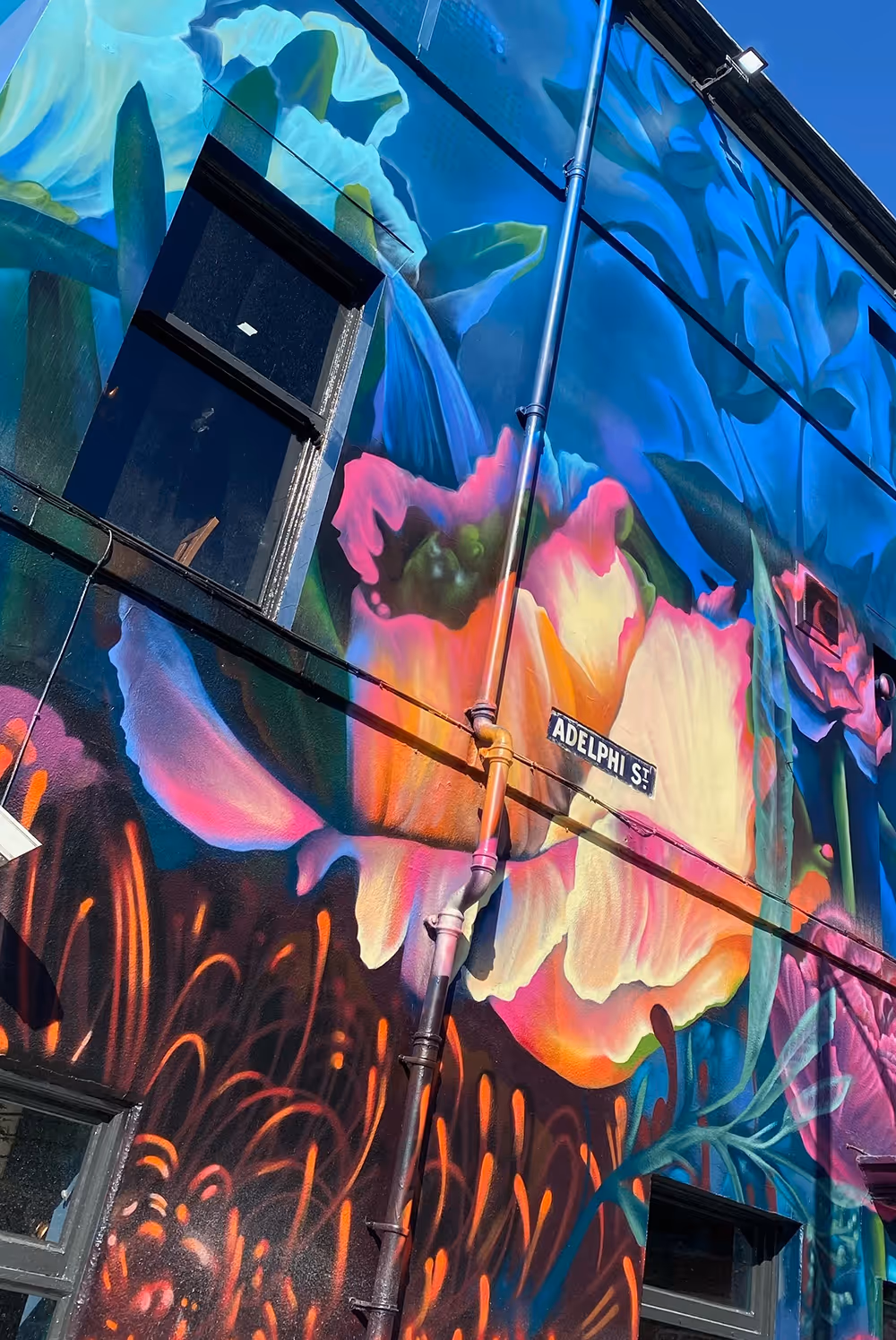 Colorful mural of large flowers painted on a building with Adelphi St sign and visible windows.