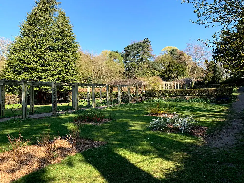 Sunlit garden with green grass, bare flower beds, wooden pergola, and tall trees under a clear blue sky.