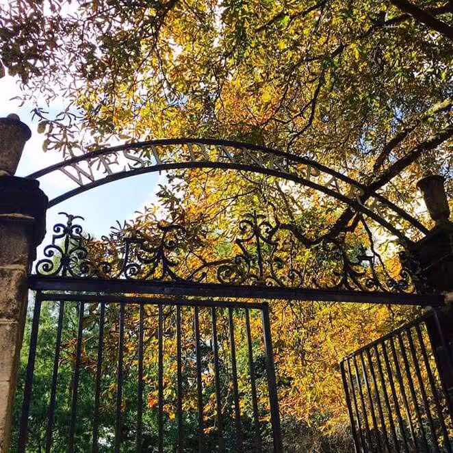 Ornate black wrought iron gate partially open with trees showing autumn leaves behind it.