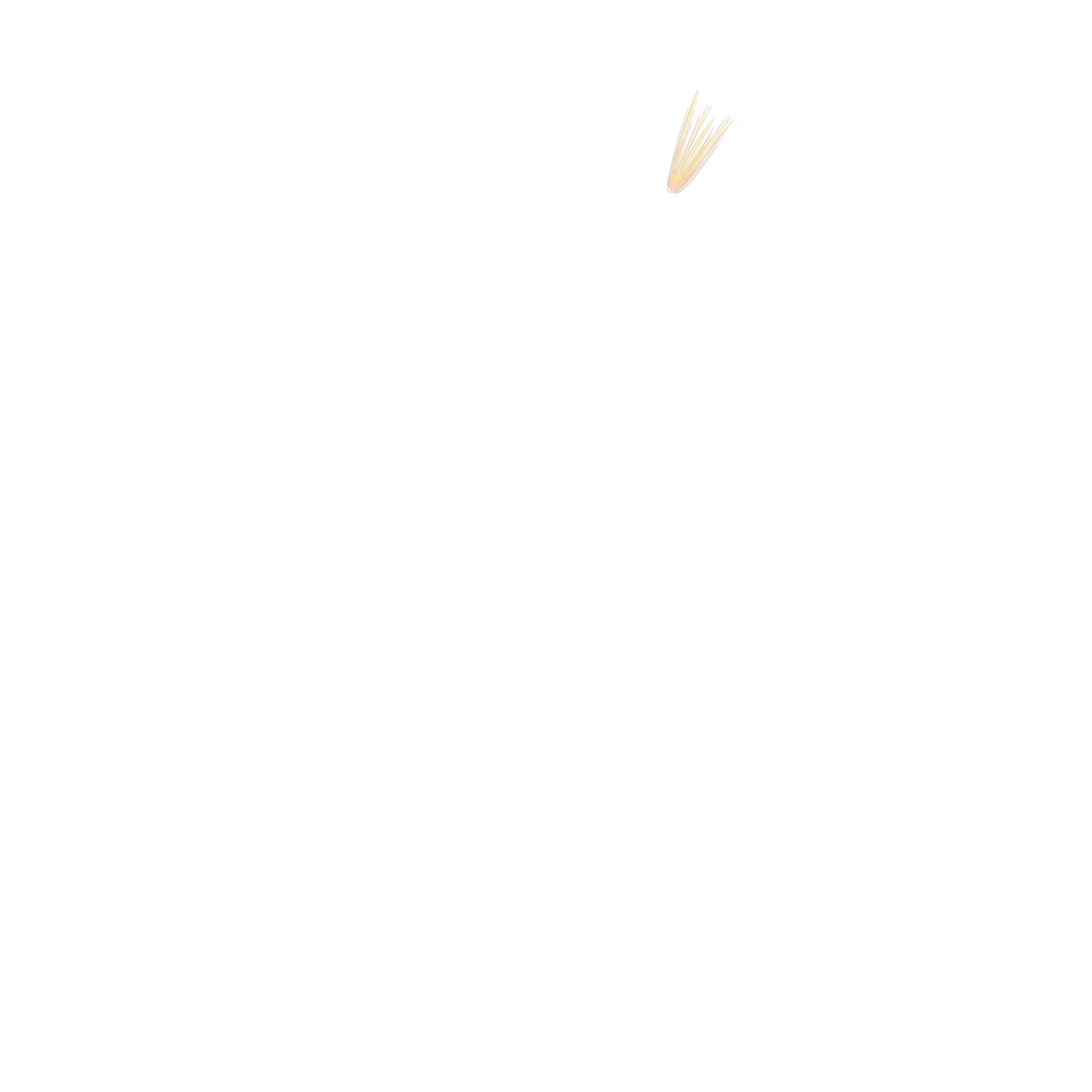 fireball