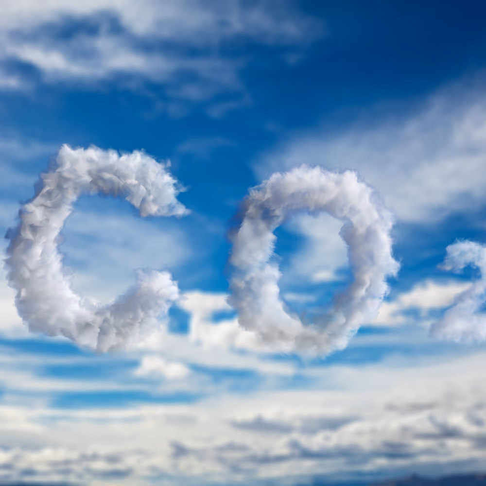 Carbon footprint icon representing CO₂ neutral commitment