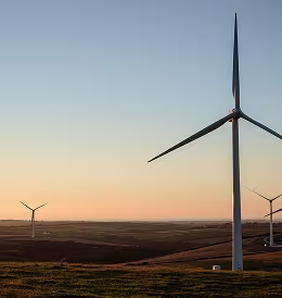Service