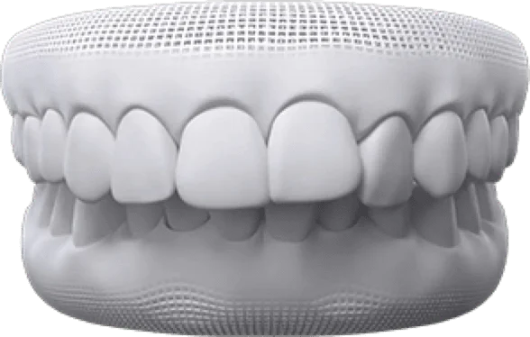 3D model of human upper and lower teeth with detailed tooth shapes and contours.