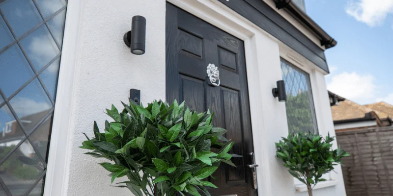 Black front door with silver knocker between two leafy green potted plants under clear sky.