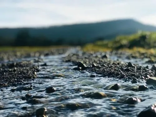 A clear stream flowing over pebbles, symbolizing the continuous flow and vitality of life.