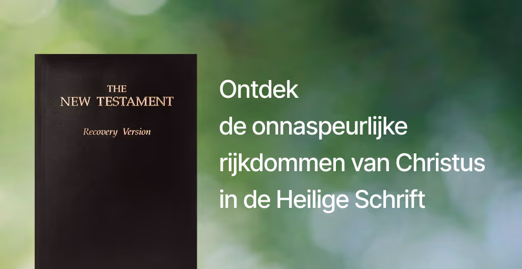 An image of The New Testament bible recovery version