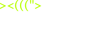 Fish on Fire logo