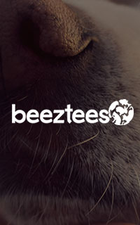 hero-custom-applications-sap-integration-beeztees-1x