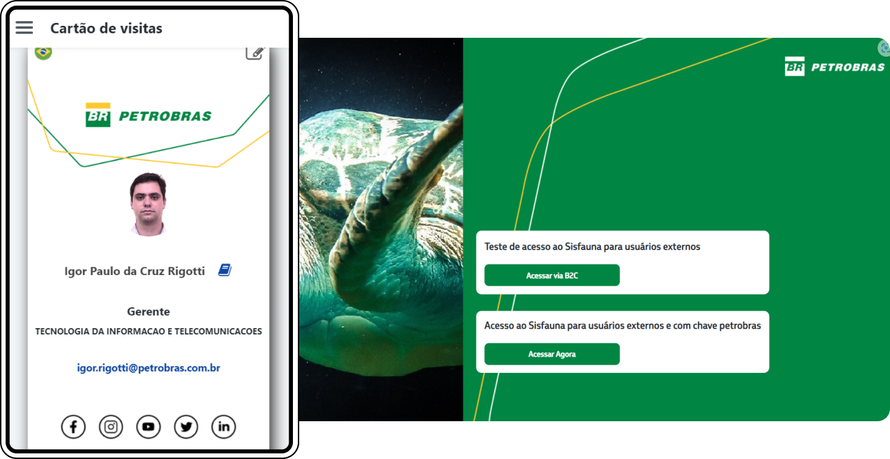 petrobras-screenshot-figure
