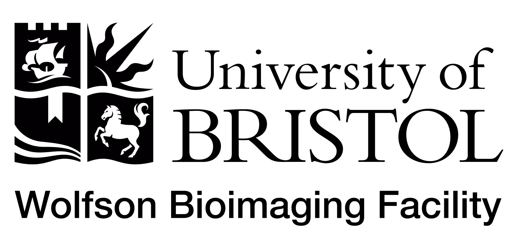 University of Bristol logo