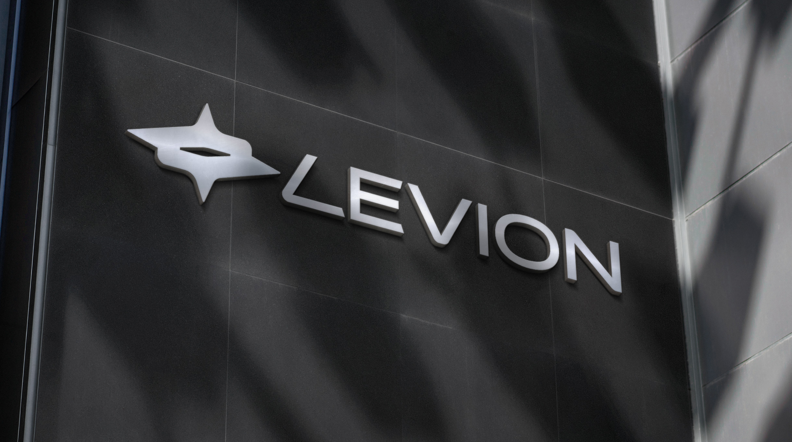 Healthcare Staffing Logo, Branding, & Motion Design for LEVION by day3