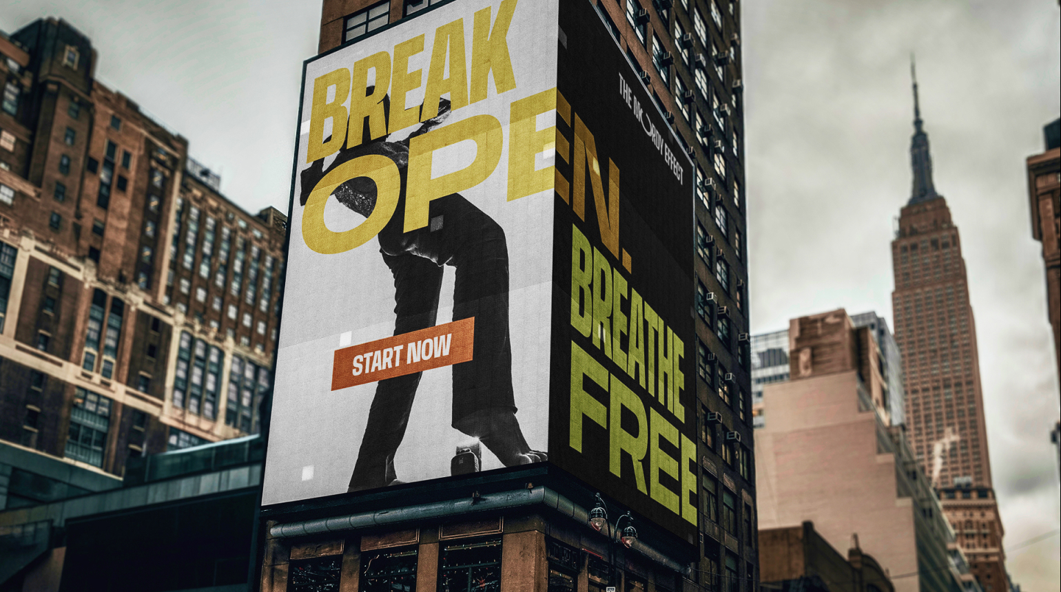 Personal Brand Identity & Strategy for The Mordy Effect by day3