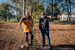 Two men outdoors planting a young tree in a rural area on a sunny day.