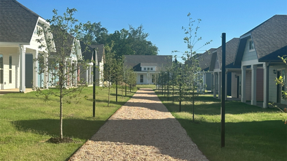 Aerial watercolor illustration of a residential neighborhood with brick apartment buildings and houses surrounded by trees in autumn colors.