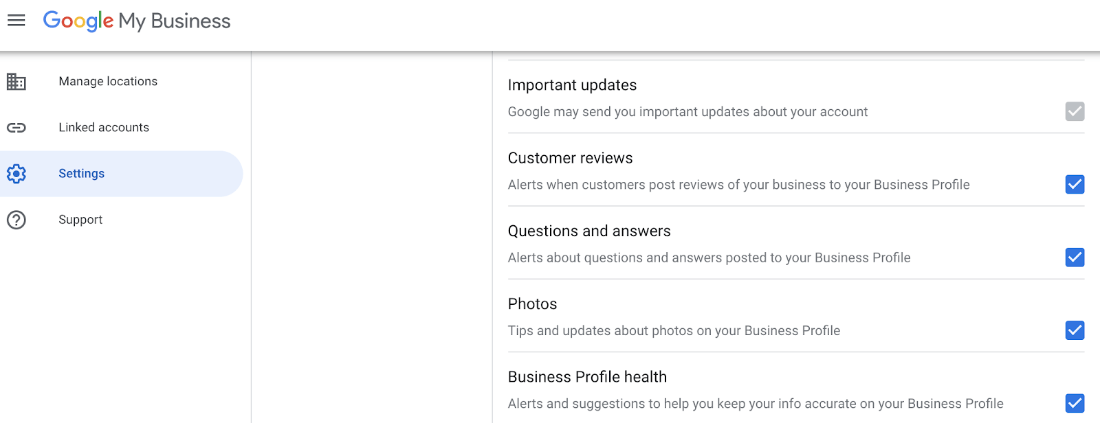 google my business