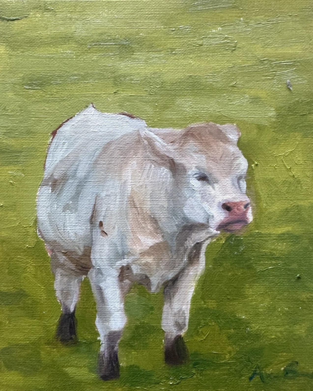 Calf painting by Audrey