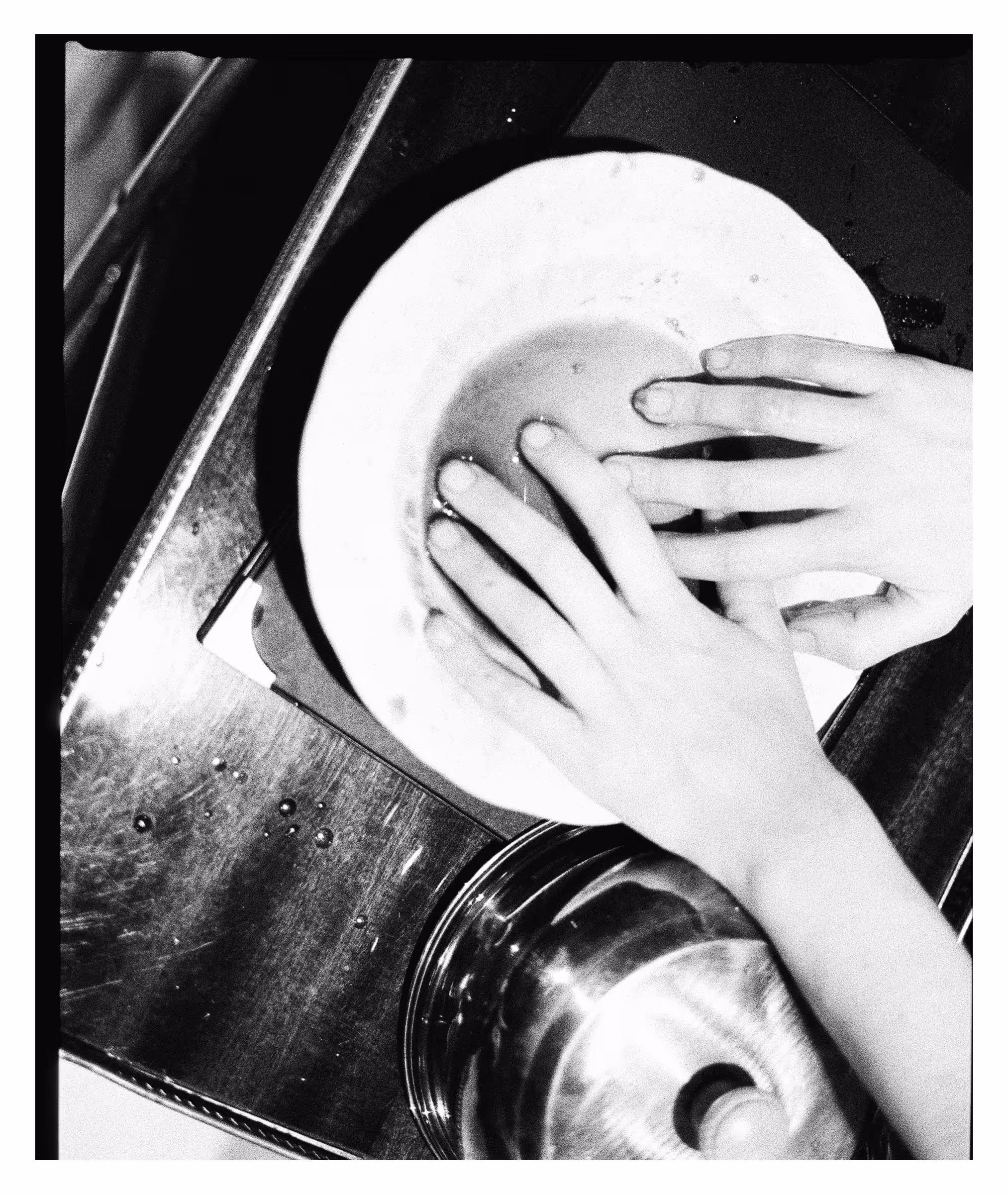 Pair of hands washing a white plate over a metal sink with water droplets.
