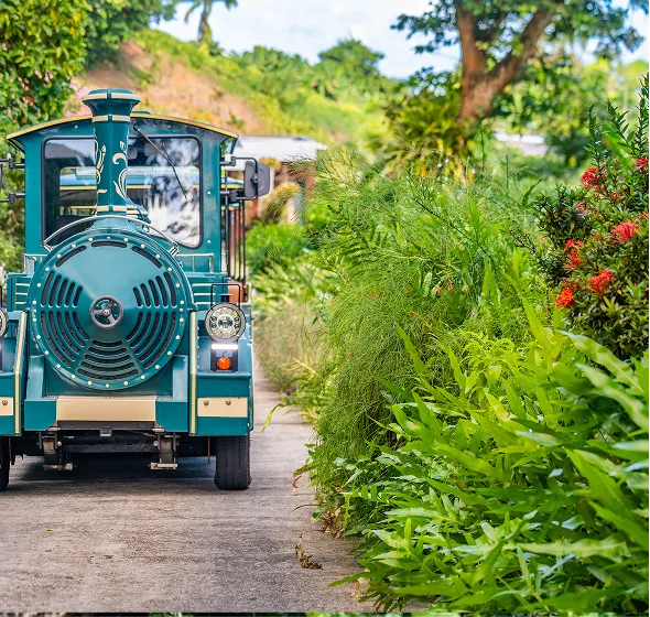 A little blue train on a path lined with green plants and red flowers in a lush garden.