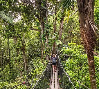 A person wearing a backpack crossing a wooden suspension bridge in the middle of a dense, lush forest.