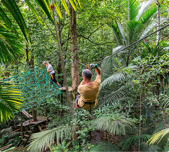 Two people using a zip line surrounded by dense vegetation in a rainforest.