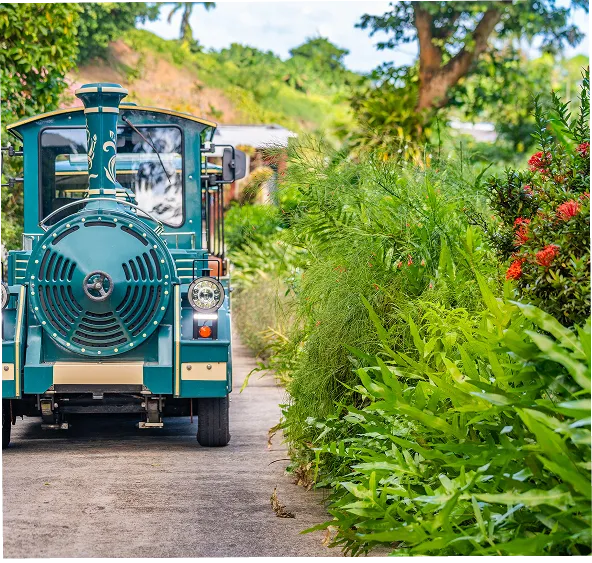 A small green tourist train traveling along a road lined with lush vegetation and red flowers.