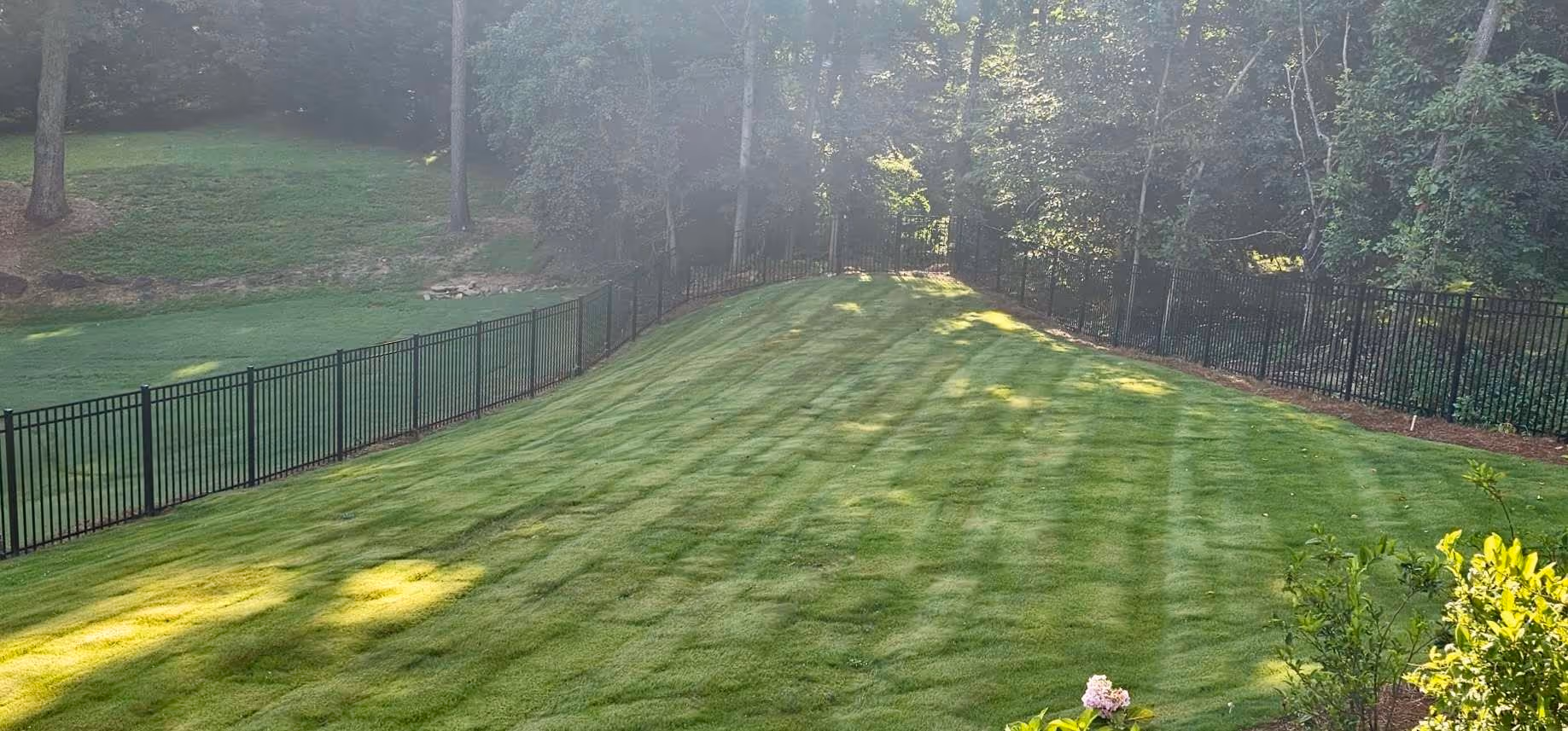 lush backyard with vibrant sod with trees and fence in background