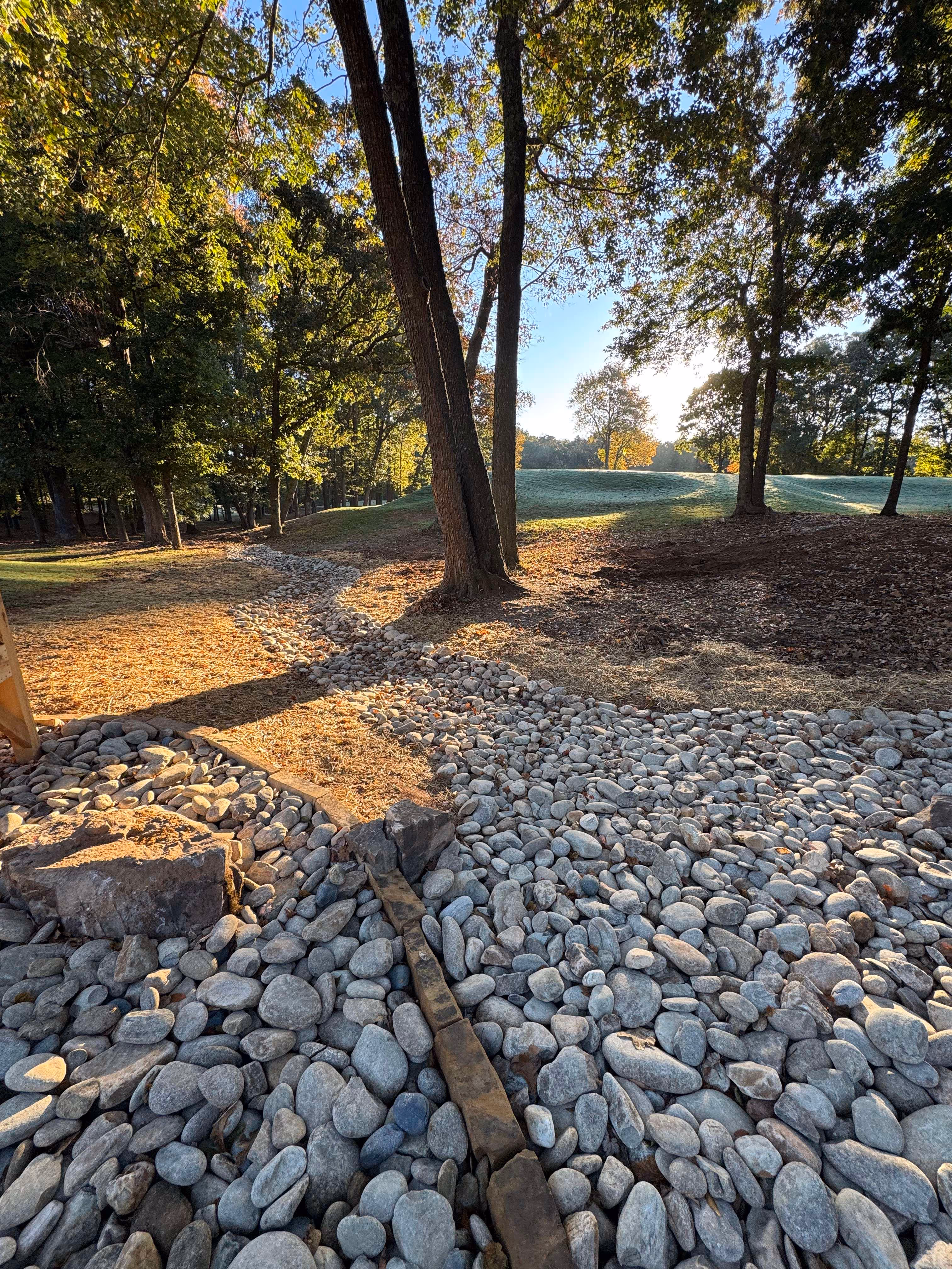 stone drainage trench in backyard surrounded by pine straw and trees