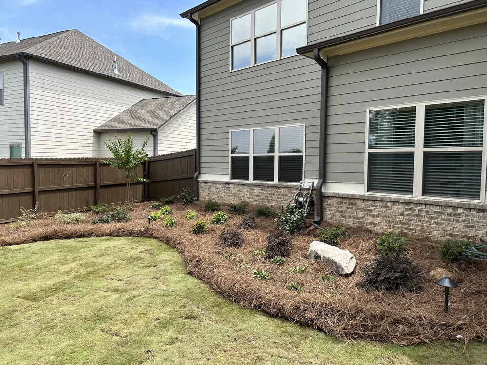 grass and pine straw with plants in back yard of home with fence in background