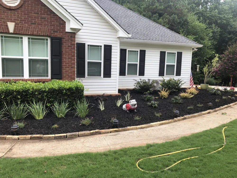 front yard of home with grass walkway and manicured plant area