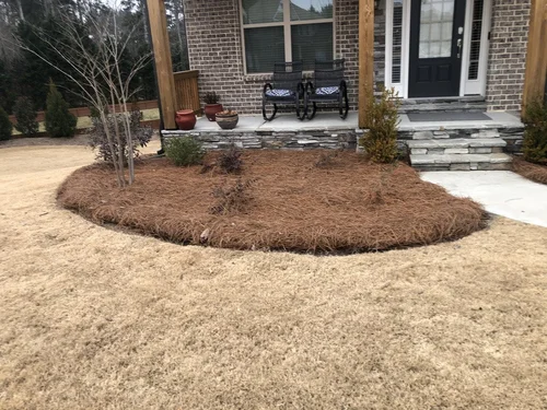 front yard with grass and well manicured pine straw and plants