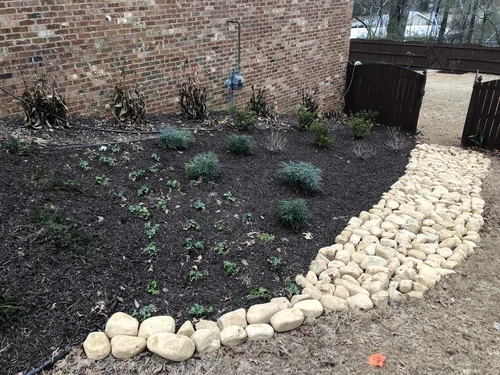 stone drainage trench on side of home surrounded by manicured lawn with mulch and plants