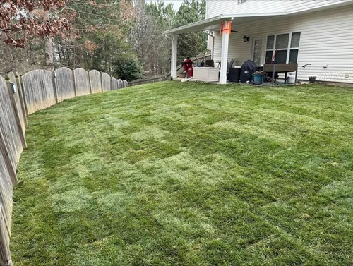 green sod in backyard of home with porch and fence in background