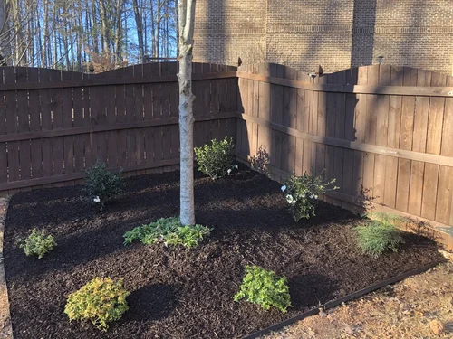 corner of yard with tree in center surrounded by plants and mulch